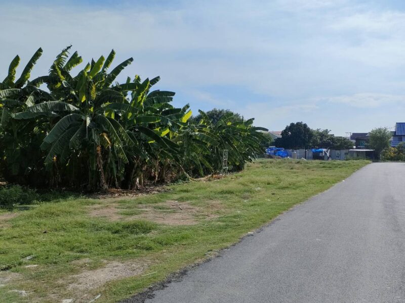 ให้เช่าที่ดินเปล่าถมแล้วในถนนนวลจันทร์ กรุงเทพมหานคร