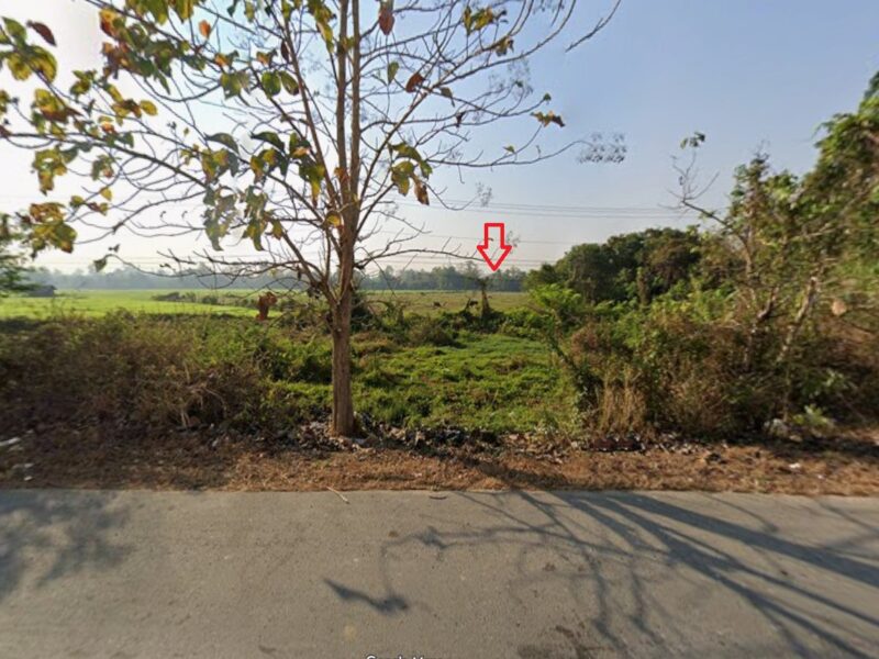 ขายที่ดินดอยสะเก็ด จังหวัดเชียงใหม่ ติดถนนใหญ่