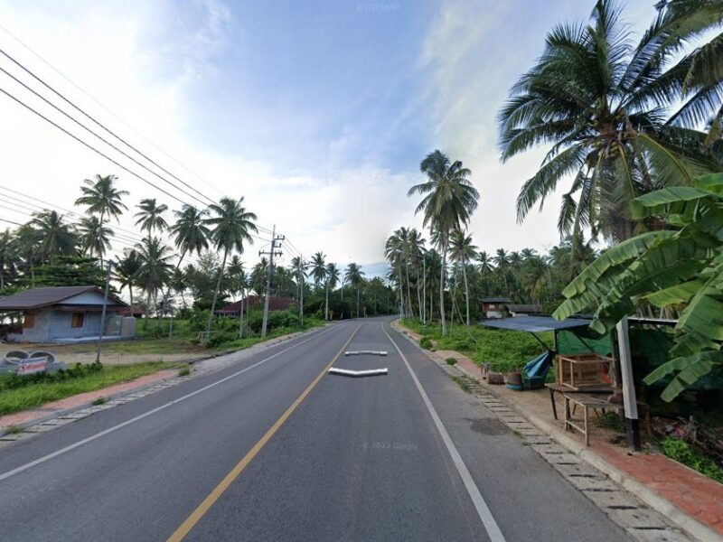 ขายที่ดินจังหวัดชุมพร ใกล้ทะเลเพียง 100 เมตร