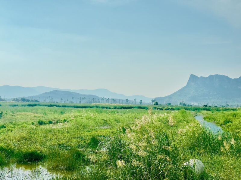 ที่ดินชะอำ วิวภูเขา ขายต่ำกว่าราคาประเมิน พื้นที่รวม 16-1-84 ไร่