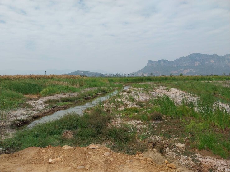 ที่ดินชะอำ วิวภูเขา ขายต่ำกว่าราคาประเมิน พื้นที่รวม 16-1-84 ไร่