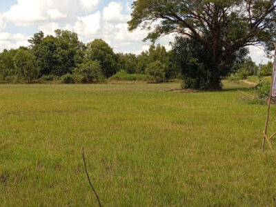 ขายที่ดินในเมืองศรีสะเกษ 5 ไร่ แค่ล้านต้นๆ !!!