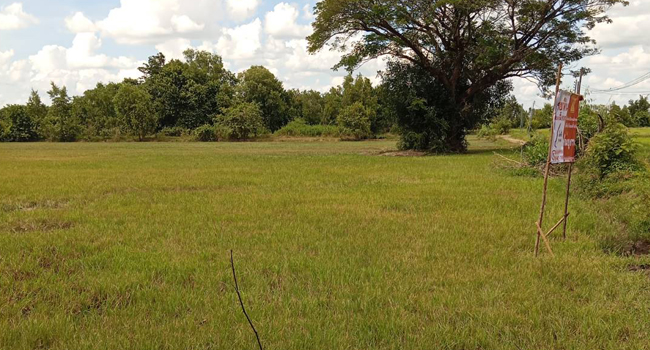 ขายที่ดินในเมืองศรีสะเกษ 5 ไร่ แค่ล้านต้นๆ !!!