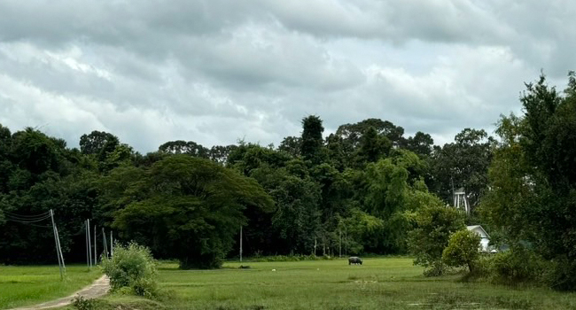 ขายที่ดินในเมืองศรีสะเกษ 5 ไร่ แค่ล้านต้นๆ !!!