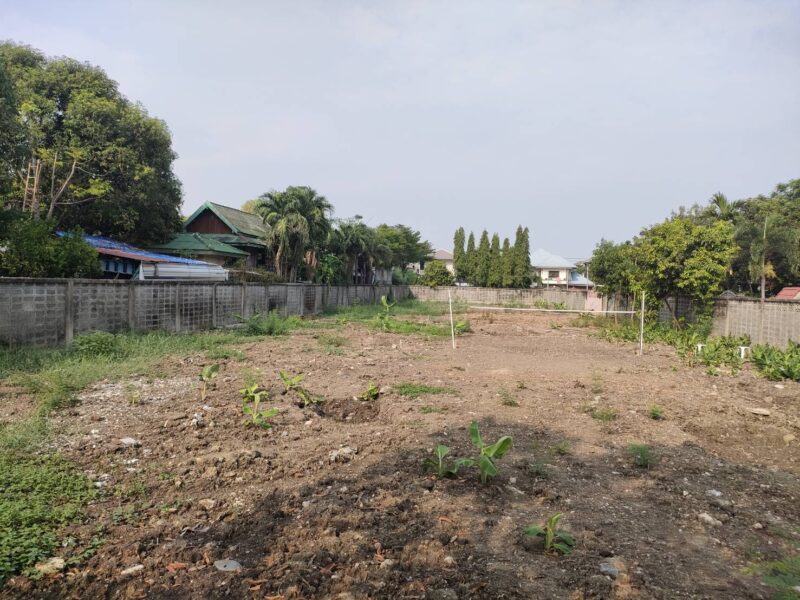 ให้เช่าที่ดินเปล่าถมแล้วในถนนมัยลาภ กรุงเทพมหานคร