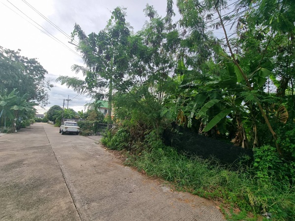 ขายที่ดินเปล่า 70ตรว. คลอง11 หมู่บ้านนริศรา ซ.4 ถูกกว่าราคาประเมิน เจ้าของขายเอง โทร 0969654945