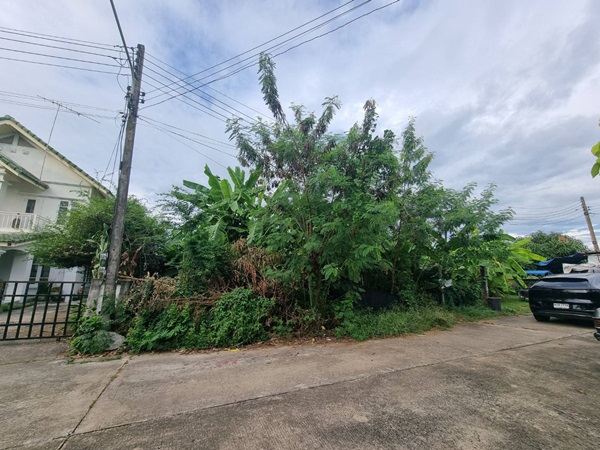 ขายที่ดินเปล่า 70ตรว. คลอง11 หมู่บ้านนริศรา ซ.4 ถูกกว่าราคาประเมิน เจ้าของขายเอง โทร 0969654945