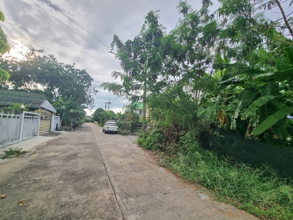 ขายที่ดินเปล่า 70ตรว. คลอง11 หมู่บ้านนริศรา ซ.4 ถูกกว่าราคาประเมิน เจ้าของขายเอง โทร 0969654945