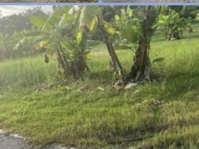 ขายที่ดิน ดอนเจริญ เมืองนครนายก 200 ตร.ว. ติดถนน มีน้ำ มีไฟ พร้อม ไลน์ korn6655