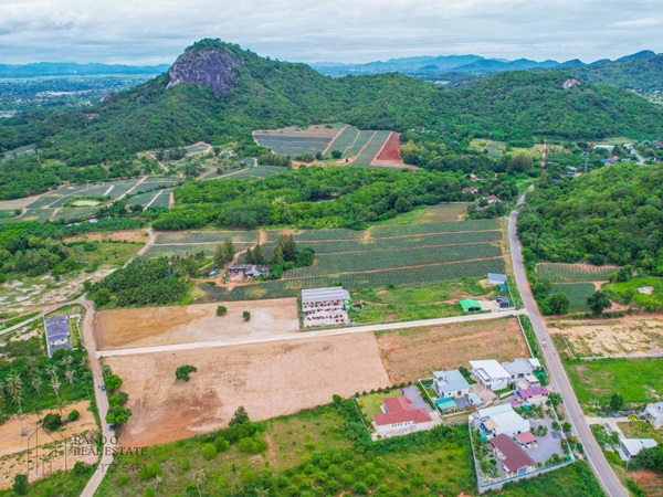 ขายที่ดิน วิวเขา ปราณบุรี ประจวบ ฟรีโอน ฟรี ถมดินสูงกว่าถนน น้ำไฟพร้อมเข้าถึง โทร 081-523-5252