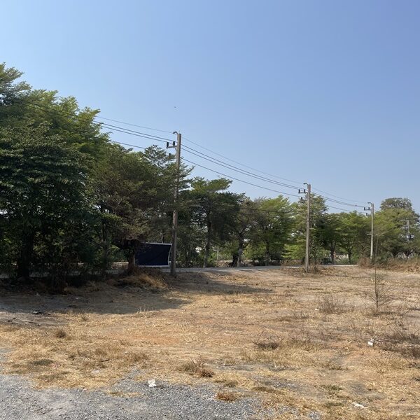 ขายที่ดินแปลงใหญ่ 16ไร่ 2งาน 77ตร.วา - ลาดหลุมแก้ว ปทุมธานี โทร 090-8982918 ราคาต่ำกว่าตลาด