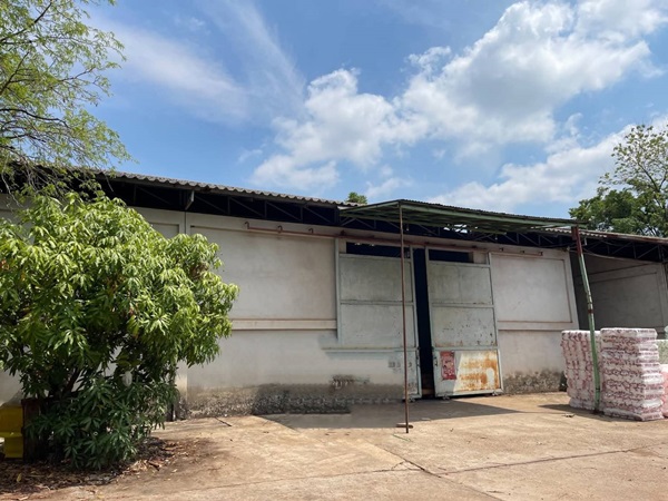 ขายที่ดิน,อาคาร,โกดัง,บ้าน ใจกลาง เมืองหนองคาย เนื้อที่ 3 ไร่ 3 งาน 21.8 ตรว. โทร 0996241535