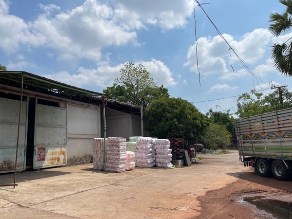 ขายที่ดิน,อาคาร,โกดัง,บ้าน ใจกลาง เมืองหนองคาย เนื้อที่ 3 ไร่ 3 งาน 21.8 ตรว. โทร 0996241535