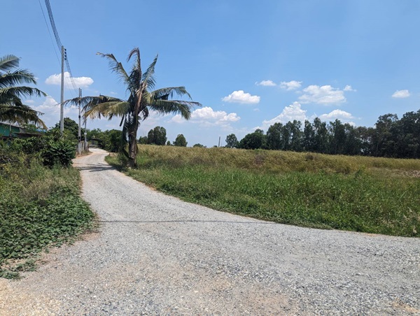 ขายที่ดินติดถนน 3 ด้าน 12-3-71 ไร่ ทำเลทอง ศุขประยูร - พนัสนิคม จ.ชลบุรี โทร 0818213624