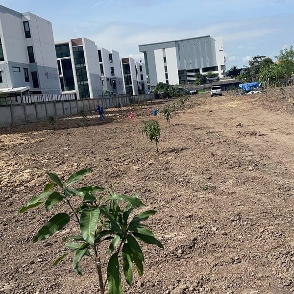 เช่า/ขายที่ดิน 4 ไร่ เศษ กิ่งแก้วซอย 19 ทำเลดี ใกล้ถนนใหญ่กิ่งแก้ว 8 เลน 200ม. สมุทรปราการ (ที่ดินสีแดง) โทร 081-8017208