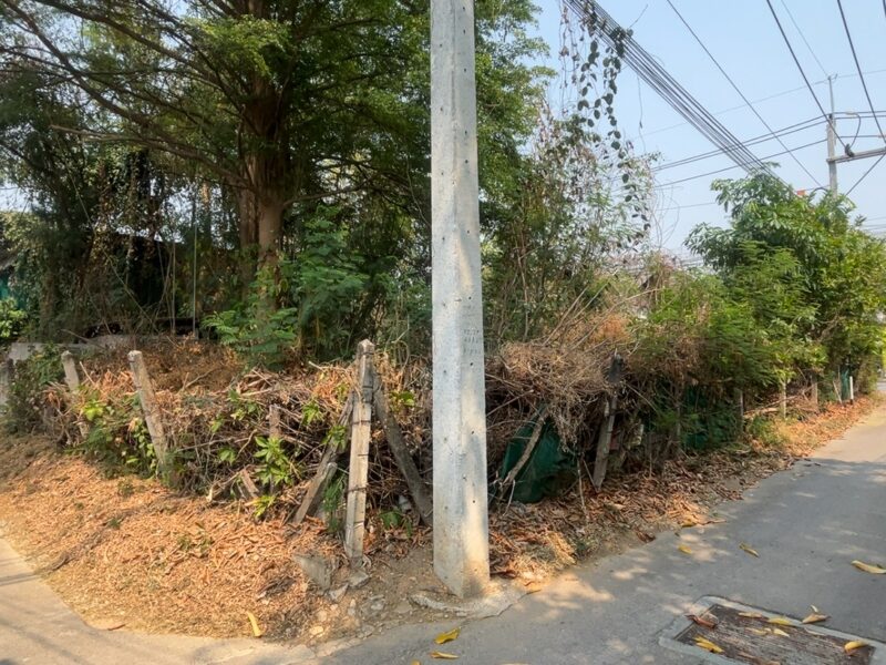 ที่ดินลำพูน อำเภอเมือง ติดถนนสันเหมืองเหนือ