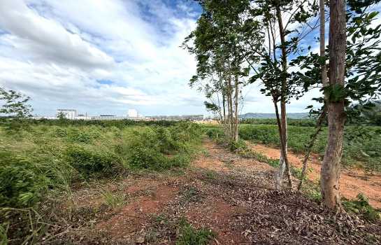 ขาย ที่ดิน ME392 EEC ม่วงลาย ติดนิคมเอเชียคลีน ห้างสูง หนองใหญ่ ชลบุรี . 18 ไร่ 3 งาน 65 ตรว ใกล้ ท่าเรือแหลมฉบัง และถนน 331 เพียง 9 Km..