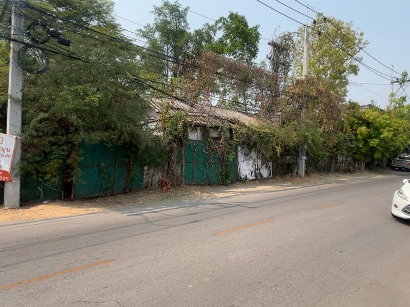 ที่ดินลำพูน อำเภอเมือง ติดถนนสันเหมืองเหนือ