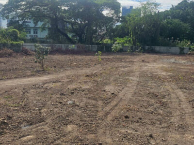 ขายที่ดิน 399 ตารางวา ซอย ปุณณวิถี 29-1 ใกล้กรมการขนส่งทางบก พื้นที่เขต 3