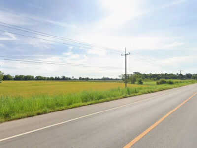 ขายที่ดิน 28 ไร่ 3 งาน 41.2 ตร.ว. ติดถนนใหญ่ ตรงข้ามอนามัย ใกล้ อบต.วังซ่าน