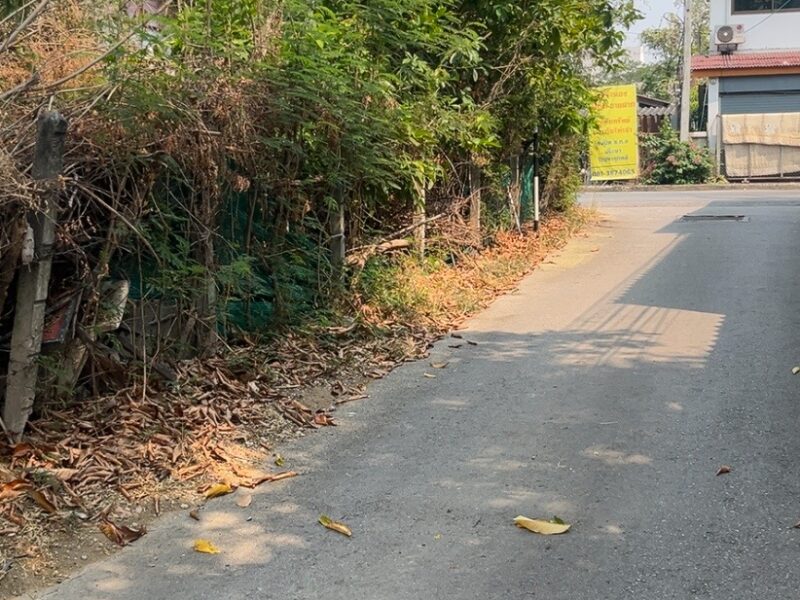 ที่ดินลำพูน อำเภอเมือง ติดถนนสันเหมืองเหนือ