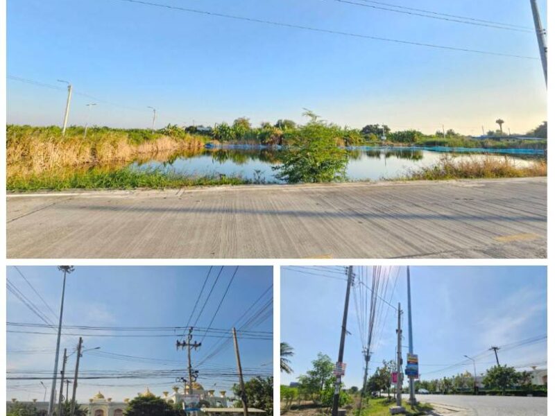 ขายที่ดิน ทำเลดี ราคาถูก ใกล้สนามบินสุวรรณภูมิ