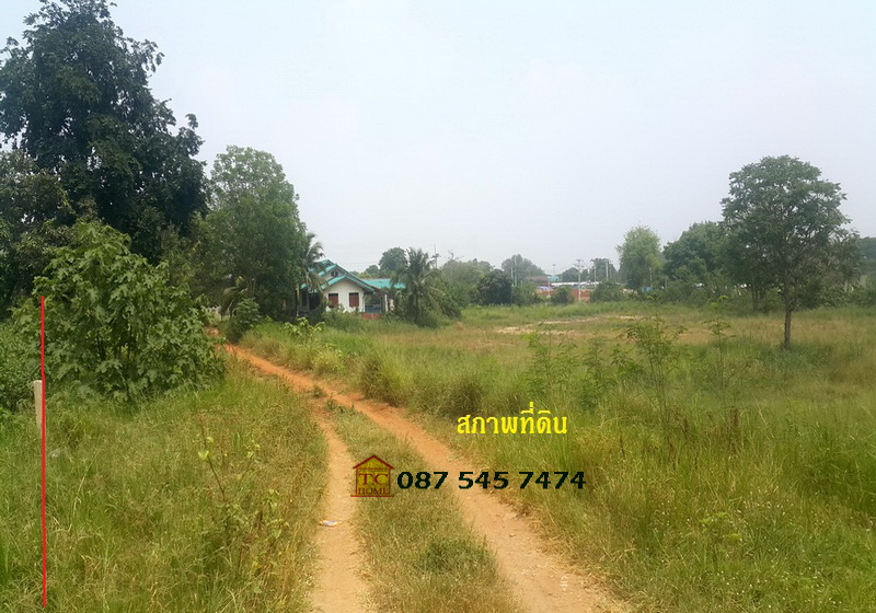 ให้เช่าที่ดินระยะยาว 5 ไร่ (แปลงมุม) ปากช่อง-เขาใหญ่ ใกล้จุดขึ้นลงมอเตอร์เวย์บางปะอิน-นครราชสีมา