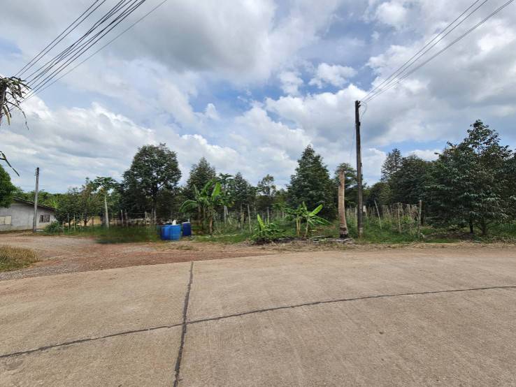 ขายที่ดินพร้อมสวนผลไม้ 5 ไร่ อำเภอนายายอาม จันทบุรี