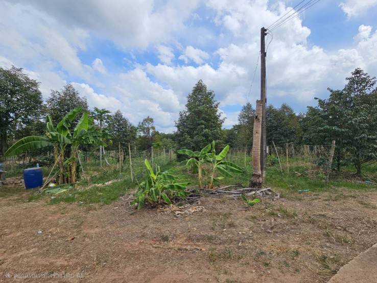 ขายที่ดินพร้อมสวนผลไม้ 5 ไร่ อำเภอนายายอาม จันทบุรี