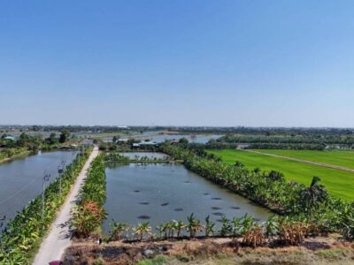 ขายที่ดิน 1 ไร่ ซอยวัดบัวโรย สมุทรปราการ