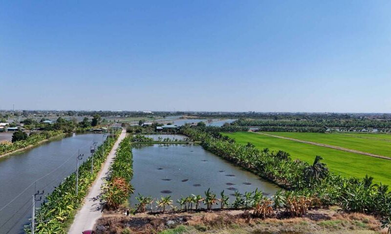 ขายที่ดิน 1 ไร่ ซอยวัดบัวโรย สมุทรปราการ