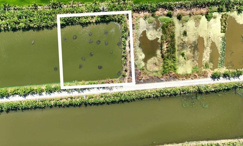 ขายที่ดิน 1 ไร่ ซอยวัดบัวโรย สมุทรปราการ