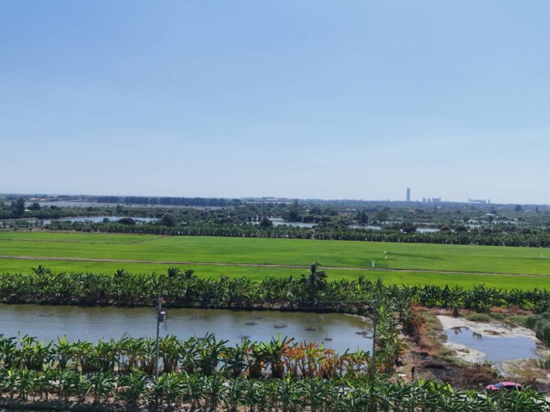 ขายที่ดิน 1 ไร่ ซอยวัดบัวโรย สมุทรปราการ