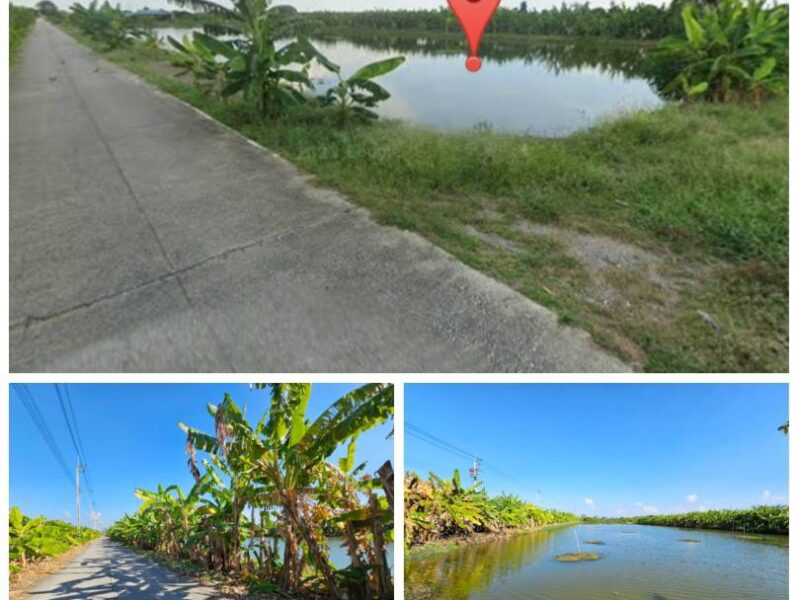 ขายที่ดิน 1 ไร่ ซอยวัดบัวโรย สมุทรปราการ