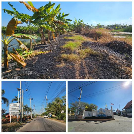 ขายที่ดิน 1 ไร่ ซอยวัดบัวโรย สมุทรปราการ