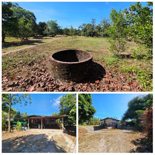 ขายสวนผลไม้ อำเภอขลุง จันทบุรี พร้อมให้ผลผลิต