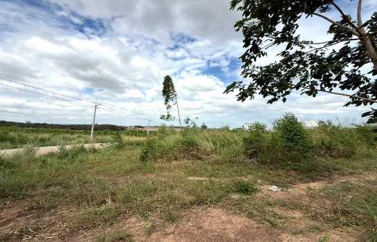 ขาย ที่ดิน ME392 EEC ม่วงลาย ติดนิคมเอเชียคลีน ห้างสูง หนองใหญ่ ชลบุรี . 18 ไร่ 3 งาน 65 ตรว ใกล้ ท่าเรือแหลมฉบัง และถนน 331 เพียง 9 Km..