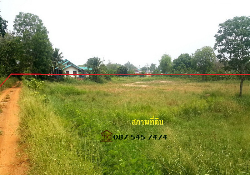 ให้เช่าที่ดินระยะยาว 5 ไร่ (แปลงมุม) ปากช่อง-เขาใหญ่ ใกล้จุดขึ้นลงมอเตอร์เวย์บางปะอิน-นครราชสีมา