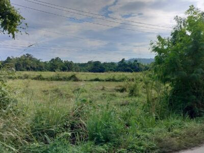 ที่ดินเชียงใหม่ ดอยสะเก็ด ติดถนนใหญ่ทำเลดี เจ้าของขายเอง