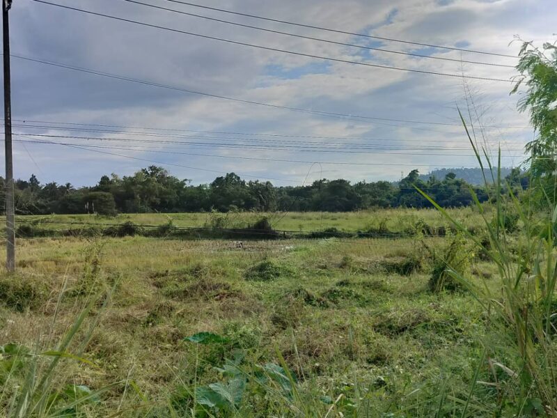 ที่ดินเชียงใหม่ ดอยสะเก็ด ติดถนนใหญ่ทำเลดี เจ้าของขายเอง