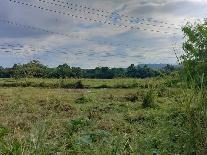 ที่ดินเชียงใหม่ ดอยสะเก็ด ติดถนนใหญ่ทำเลดี เจ้าของขายเอง