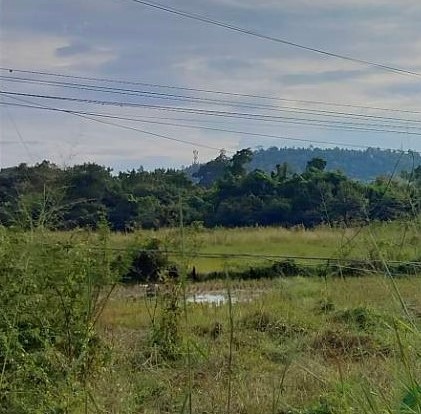 ที่ดินเปล่าเชียงใหม่ ดอยสะเก็ด ติดทางหลวงหมายเลข 118