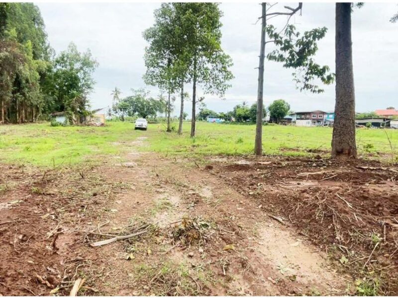 ที่ดินติดแม่น้ำน่าน จังหวัดนครสวรรค์ เนื้อที่ 6 ไร่