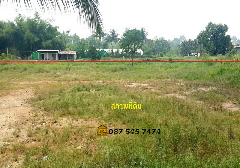 ให้เช่าที่ดินระยะยาว 5 ไร่ (แปลงมุม) ปากช่อง-เขาใหญ่ ใกล้จุดขึ้นลงมอเตอร์เวย์บางปะอิน-นครราชสีมา