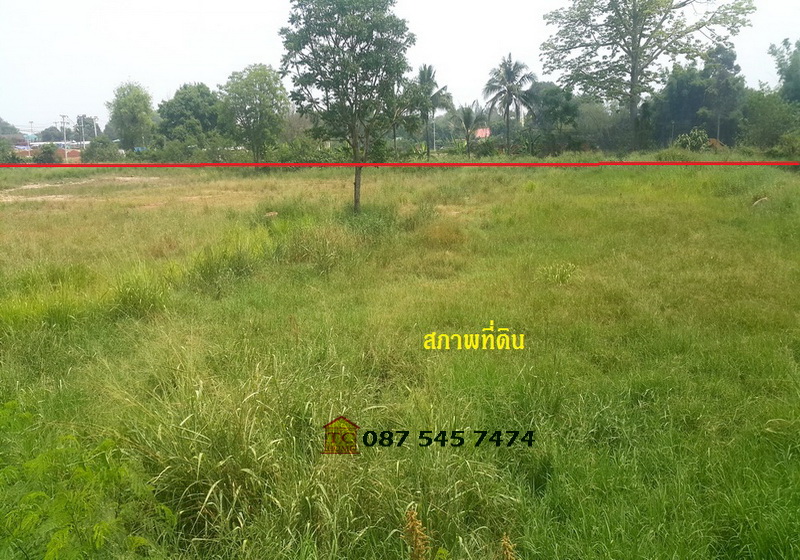 ให้เช่าที่ดินระยะยาว 5 ไร่ (แปลงมุม) ปากช่อง-เขาใหญ่ ใกล้จุดขึ้นลงมอเตอร์เวย์บางปะอิน-นครราชสีมา