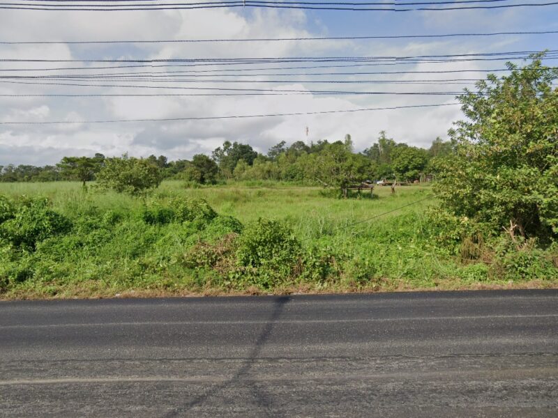 ✅ขายที่ดิน 30ไร่3งาน3ตรว. ถมแล้ว พื้นที่สีเขียว หน้าหว้าง 405ม. ถนนทางหลวงแผ่นดิน 211 หนองสองห้อง-ท่าบ่อ ตำบลบ้านเดื่อ อำเภอท่าบ่อ หนองคาย