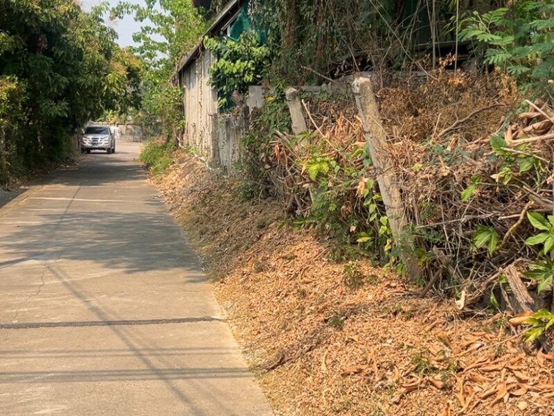 ที่ดินลำพูน อำเภอเมือง ติดถนนสันเหมืองเหนือ