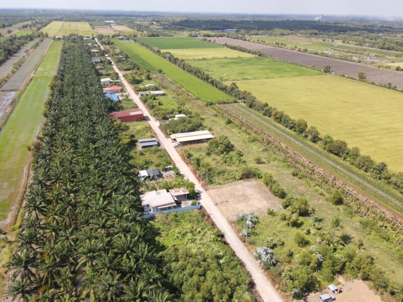 ขายที่ดินคลอง 11 หนองเสือ ปทุมธานี ที่ดินถมแล้ว พร้อมสร้าง ราคาถูก