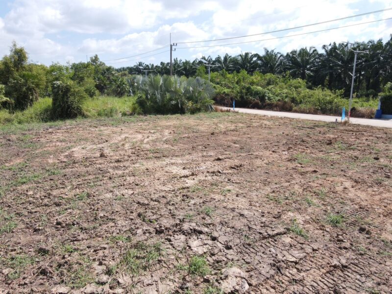 ขายที่ดินคลอง 11 หนองเสือ ปทุมธานี ที่ดินถมแล้ว พร้อมสร้าง ราคาถูก