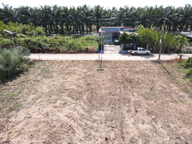 ขายที่ดินคลอง 11 หนองเสือ ปทุมธานี ที่ดินถมแล้ว พร้อมสร้าง ราคาถูก